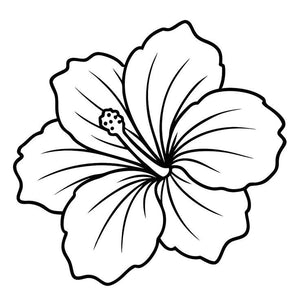 Hibiscus